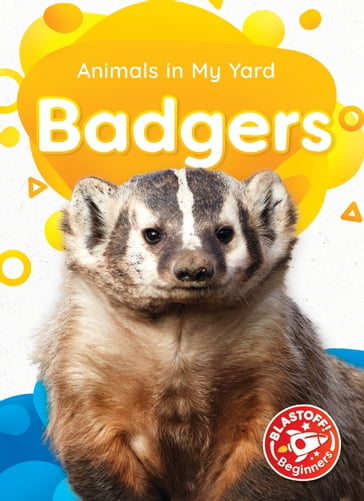 Badgers - Amy McDonald