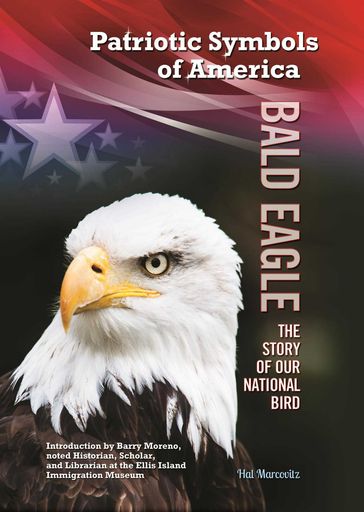 Bald Eagle - Hal Marcovitz