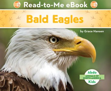 Bald Eagles - Grace Hansen