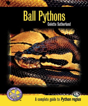 Ball Pythons - Colette Sutherland