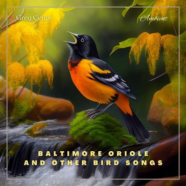 Baltimore Oriole and Other Bird Songs - Greg Cetus