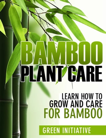 Bamboo Plant Care: How to Grow and Care for Bamboo - Green Initiatives
