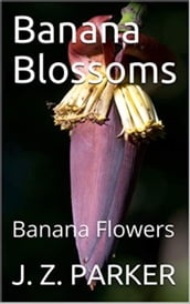 Banana Blossoms: Banana Flowers