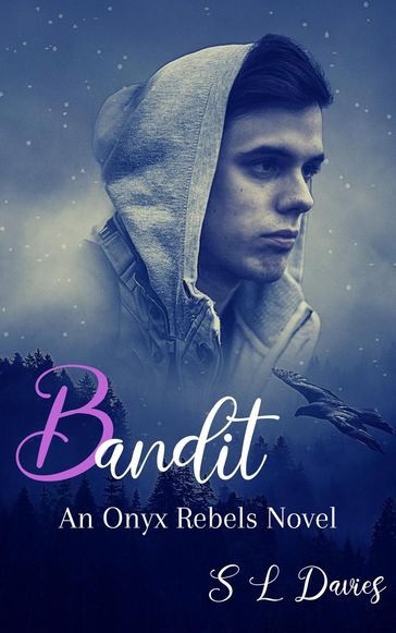 Bandit - S L Davies