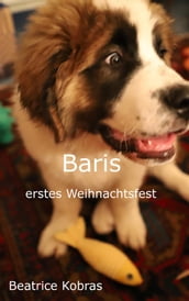 Baris erstes Weihnachtsfest