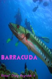 Barracuda