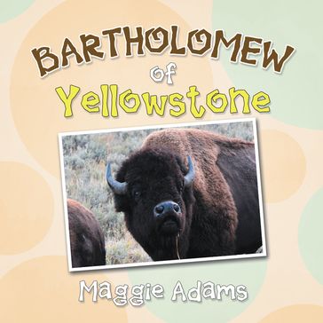 Bartholomew of Yellowstone - Maggie Adams