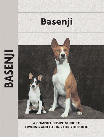 Basenji - Juliette Cunliffe