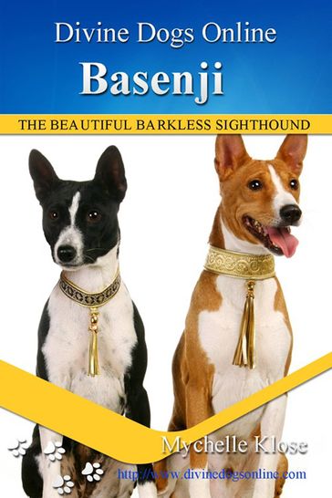 Basenji - Mychelle Klose