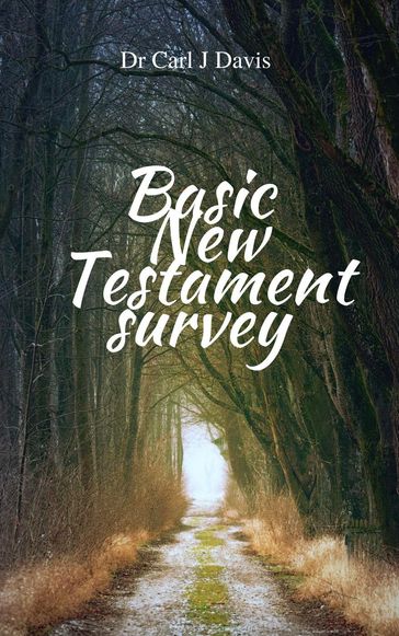 Basic New Testament Survey - Carl Davis