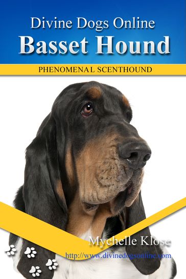 Basset Hound - Mychelle Klose