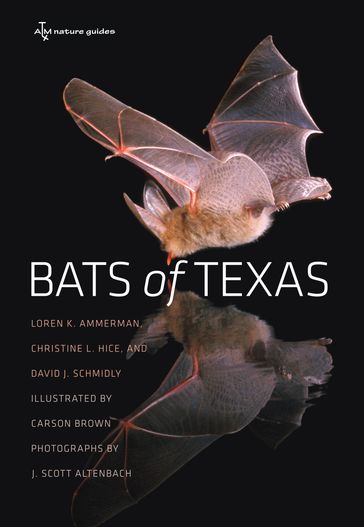 Bats of Texas - Christine L. Hice - David J. Schmidly - Loren K. Ammerman