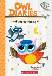 Baxter Is Missing: A Branches Book (Owl Diaries #6), 6
