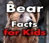 Bear Facts for Kids