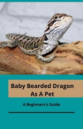 Bearded Baby As A Pet; A Beginner