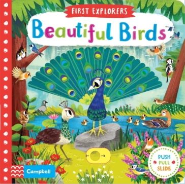 Beautiful Birds - Campbell Books