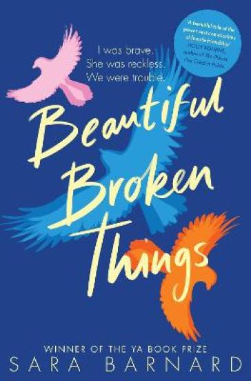 Beautiful Broken Things - Sara Barnard