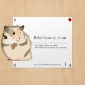 Bébé bout de chou