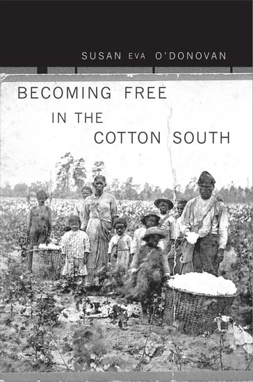 Becoming Free in the Cotton South - Susan Eva O