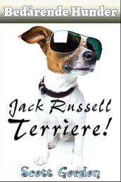 Bedarende Hunder: Jack Russell Terriere