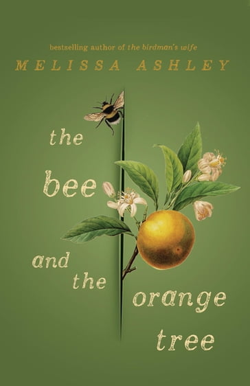 Bee and the Orange Tree - Melissa Ashley