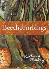 Beechcombings