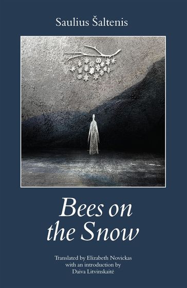 Bees on the Snow - Daiva Litvinskaite - Saulius Saltenis