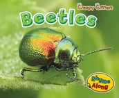 Beetles