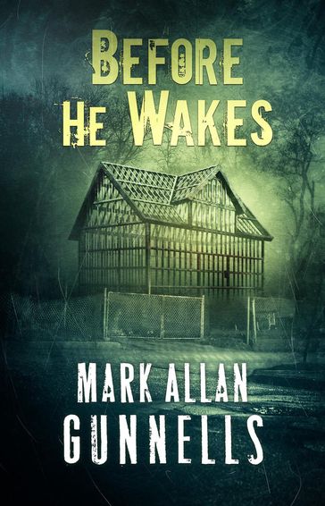 Before He Wakes - Mark Allan Gunnells