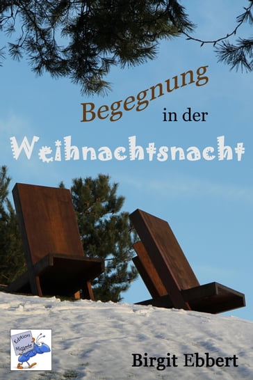 Begegnung in der Weihnachtsnacht - Birgit Ebbert