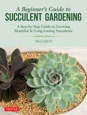 Beginner s Guide to Succulent Gardening