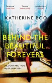 Behind the Beautiful Forevers