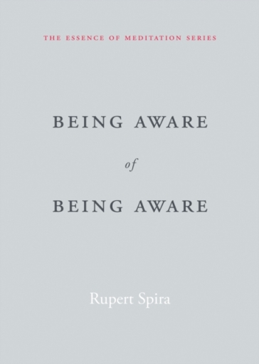 Being Aware of Being Aware - Rupert Spira