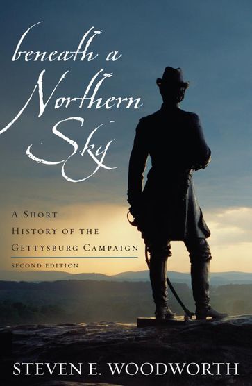 Beneath a Northern Sky - Steven E. Woodworth