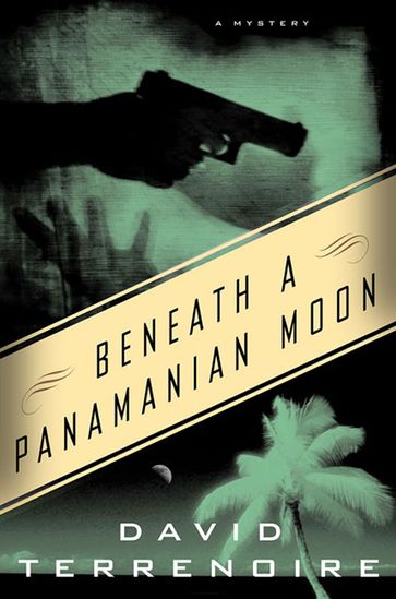 Beneath a Panamanian Moon - David Terrenoire