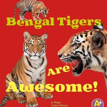 Bengal Tigers Are Awesome! - Megan C Peterson