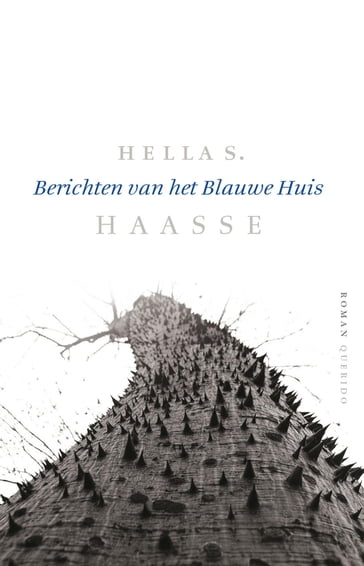 Berichten van het Blauwe Huis - Hella S. Haasse