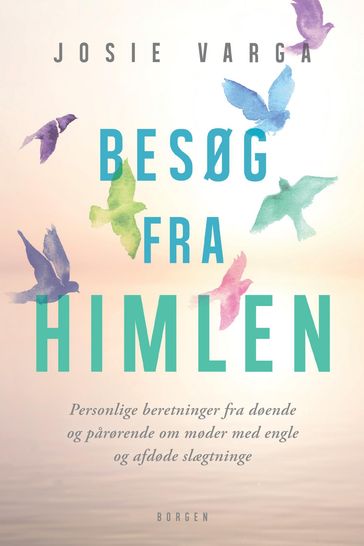 Besøg fra himlen - Josie Varga