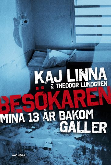 Besökaren : mina 13 ar bakom galler - Kaj Linna - Theodor Lundgren - Miroslav Sokcic