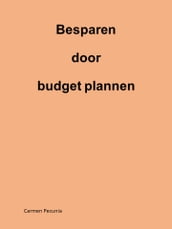 Besparen door budget plannen