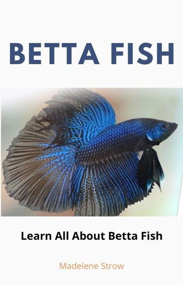 Betta Fish - Leandro Silva