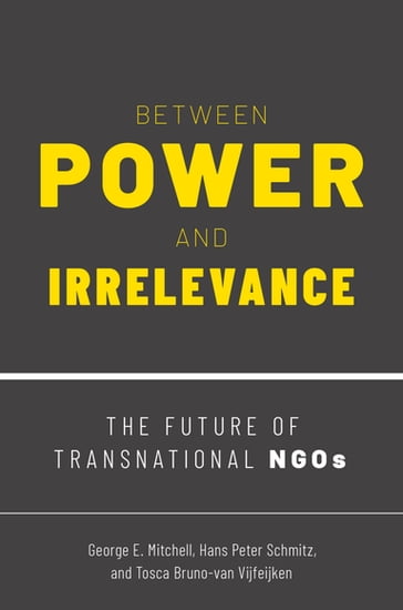 Between Power and Irrelevance - George E. Mitchell - Hans Peter Schmitz - Tosca Bruno-van Vijfeijken