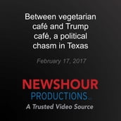 Between vegetarian café and Trump café, a political chasm in Texas