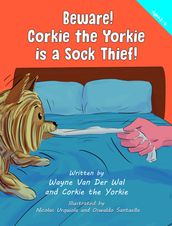 Beware! Corkie the Yorkie is a Sock Thief!