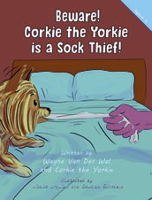 Beware! Corkie the Yorkie is a Sock Thief!