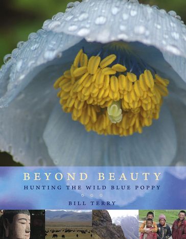 Beyond Beauty - Bill Terry