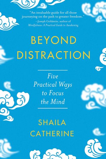 Beyond Distraction - Shaila Catherine
