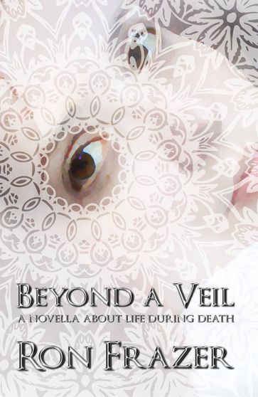 Beyond a Veil: a novella about life during death - Ron Frazer