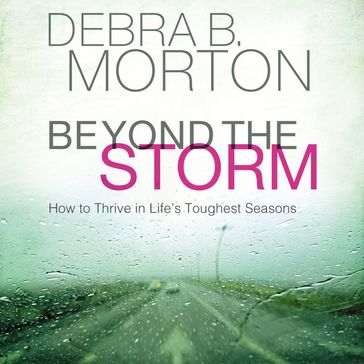 Beyond the Storm - Debra B. Morton