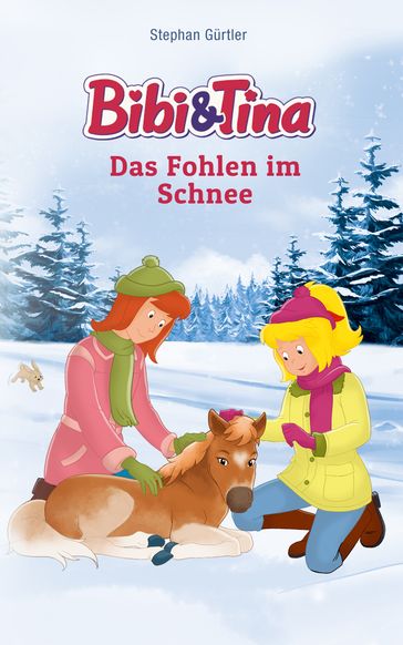 Bibi & Tina - Das Fohlen im Schnee - Stephan Gurtler